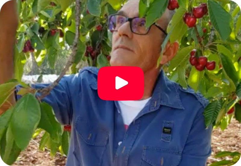 La qualità prima di tutto